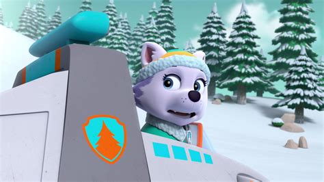 Paw Patrol Ultimate Rescue Everest