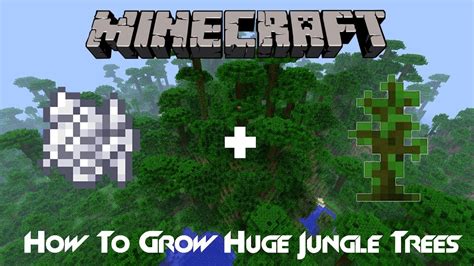Minecraft Tutorials How To Grow Huge Jungle Trees Youtube