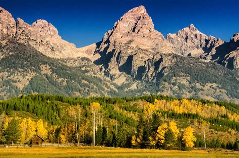 Autumn In Grand Teton National Park Photograph By Janis Knight