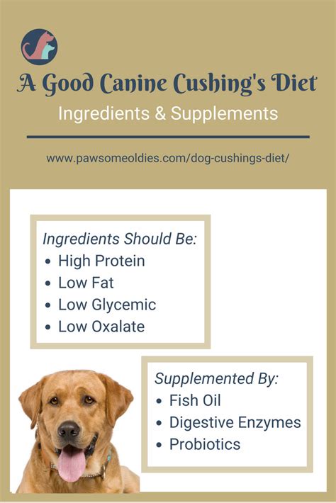 What Makes A Good Diet For Dogs With Cushings Disease Find Out From