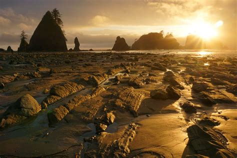 Check spelling or type a new query. Shi Shi beach offers sea stacks, beach camping and more!