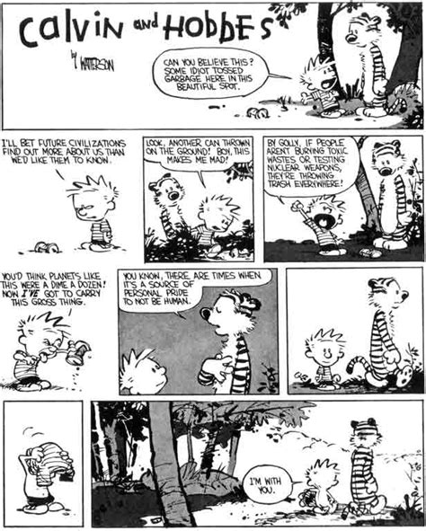 The Absolutely Best Calvin And Hobbes Comics Ever