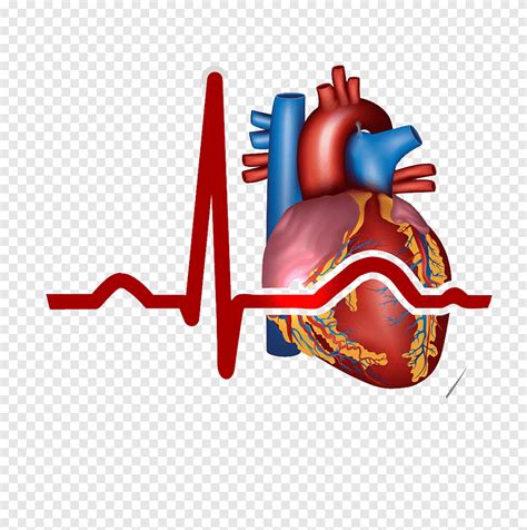 Baixar Coração infarto do miocárdio coração doença cardiovascular