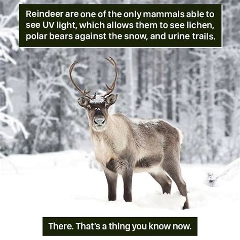 116 Times Nature Proved Its Too Weird For Us To Handle Animal Facts