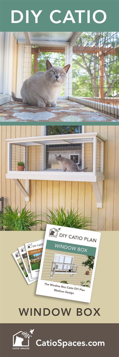 Maybe you would like to learn more about one of these? Pin on DIY Cat & Catio Projects