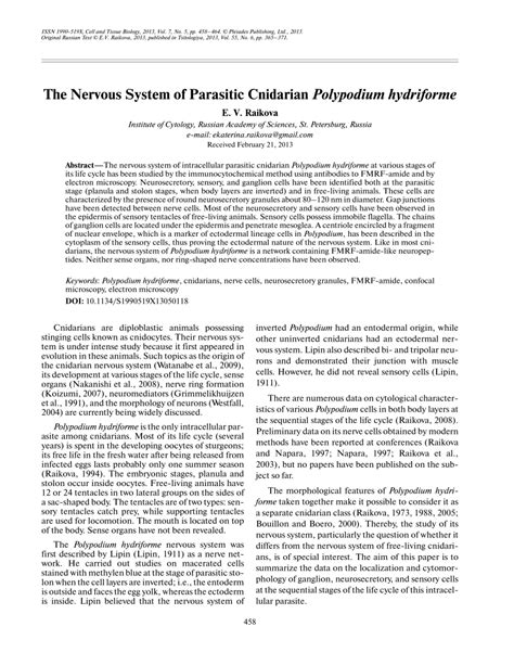 Pdf The Nervous System Of Parasitic Cnidarian Polypodium Hydriforme