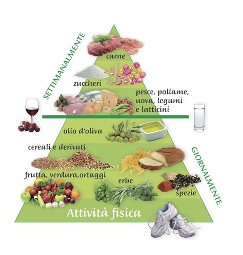 Biochimica degli alimenti e della nutrizione biochemistry of food and nutrition responsabile scientifico: laboratorio di biochimica degli alimenti e della ...