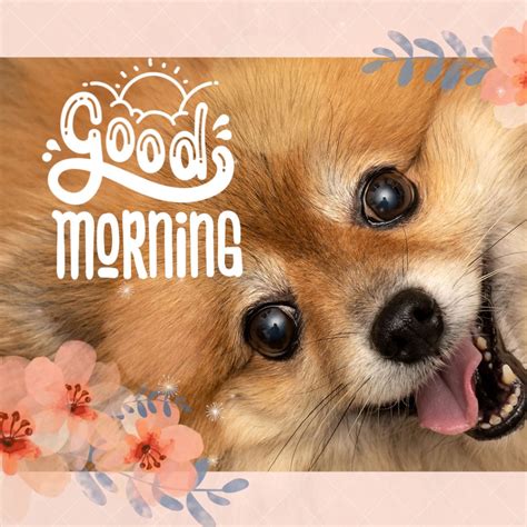 Animated Cute Good Morning  4 For