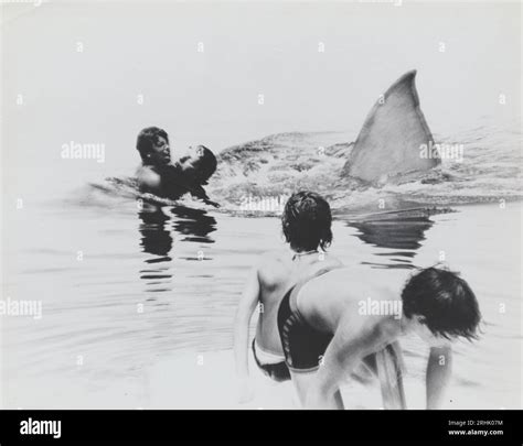 Jaws 1975 Steven Spielberg Deleted Scene Stock Photo Alamy