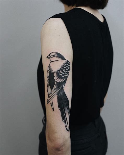 Bird Tattoos Arm Bird Tattoos For Women Tattoos