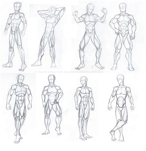 An Image Of A Man S Body And Muscles In Various Poses From Front To Back