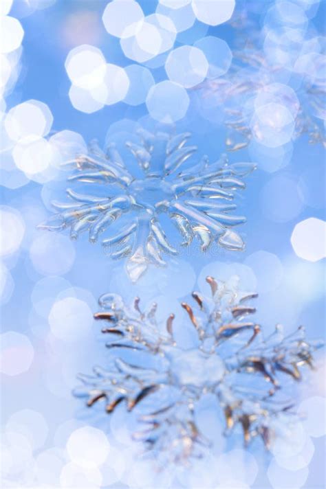 Snow Crystals Stock Photo Image Of Annual Pure Winter 11145572