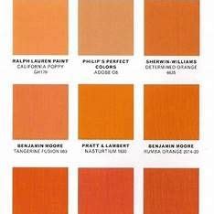 Most of the orange color names are official colors that accept by authorities. Images | Burnt orange paint, Orange paint colors, Orange painted walls