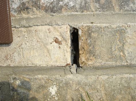 Weep holes are drilled in the concrete blocks at the lowest level. Brick Box Image: Brick Weep Holes