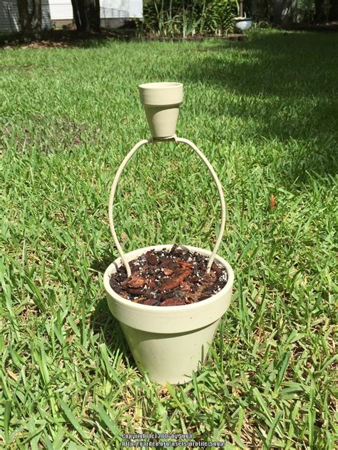 See more ideas about trellis, indoor trellis, garden trellis. DIY Mini Flower Pot Trellis - Garden.org