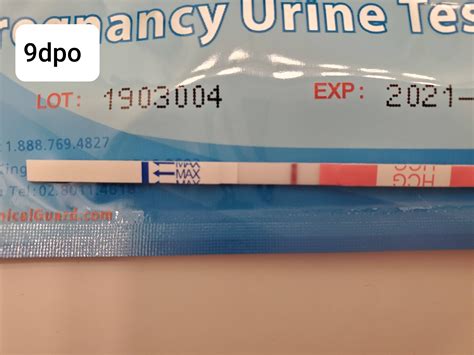 9 dpo BFN on Clinicalguard again : TFABLinePorn