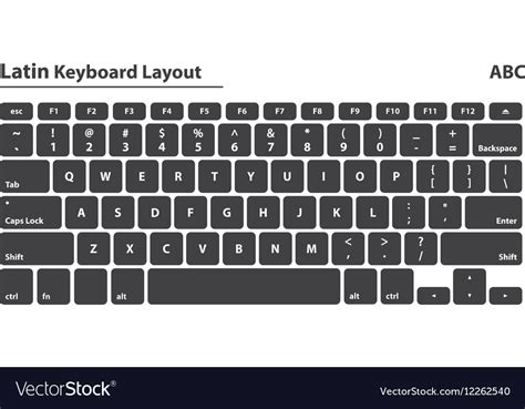 Latin Alphabet Keyboard Layout Set Isolated Vector Image
