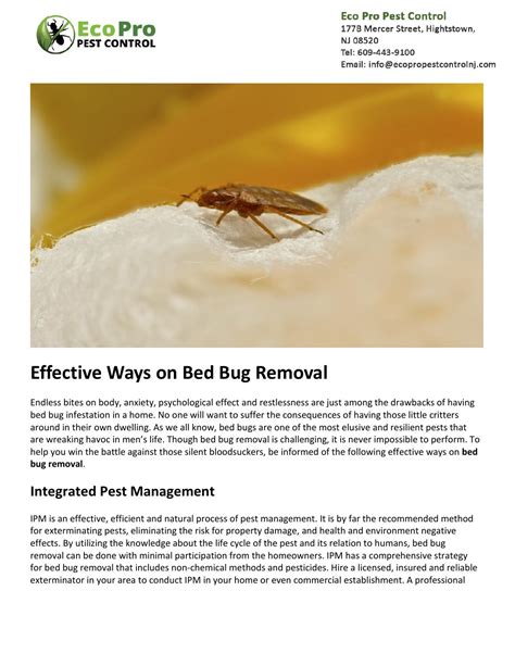 Effective Ways On Bed Bug Removal By Guest1237 Issuu