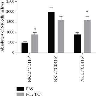 Treatment With Poly I C Induces Increased Absolute Numbers Of Nk Cells Download Scientific