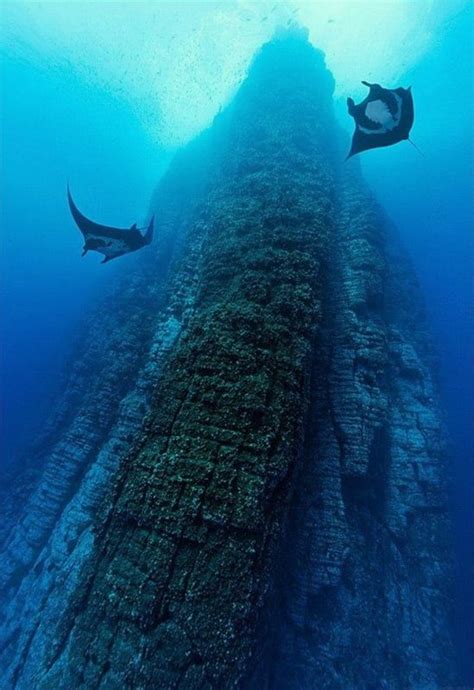 112 Best Cozumel And Mexico Diving Images On Pinterest