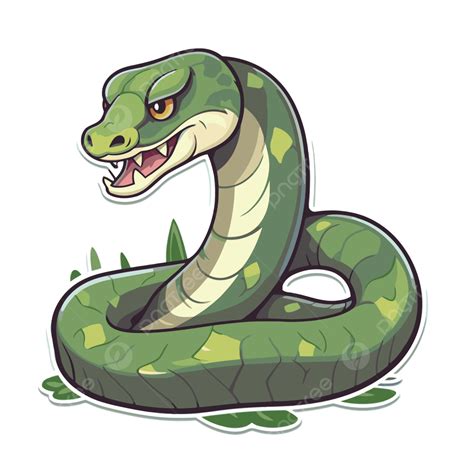 Serpiente Verde De Dibujos Animados Sobre Un Fondo Blanco Vector Png