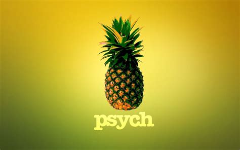 Psych Tv Show Wallpapers Wallpaper Cave