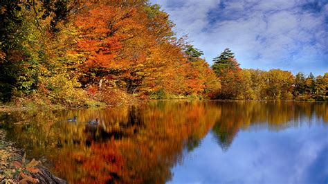 Reflection Of Trees And Cloudy Blue Sky On River Canada During Fall Hd