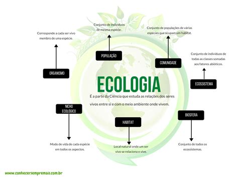 Mapa Mental De Ecologia Ensino