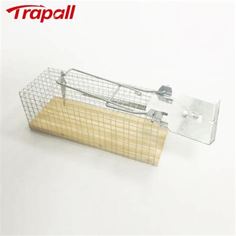 Humane Metal Wire Mesh Live Catch Mouse Rat Trap Cage China Mouse