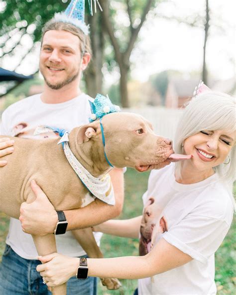 Rescued Pitbull Is Given A Birthday Party Excellent Dogs Club
