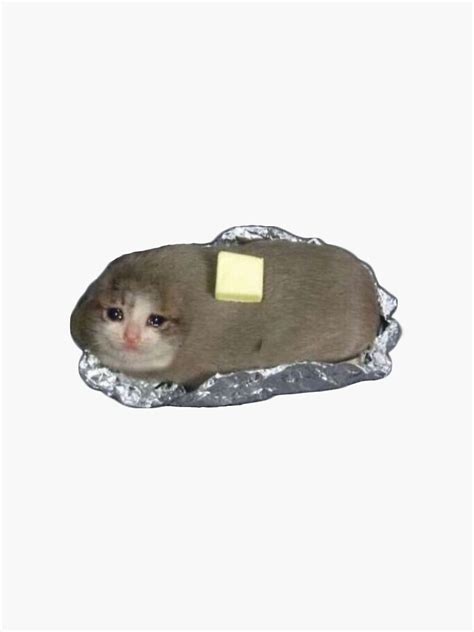 Crying Potato Cat Sticker For Sale By Savebeesplease Redbubble