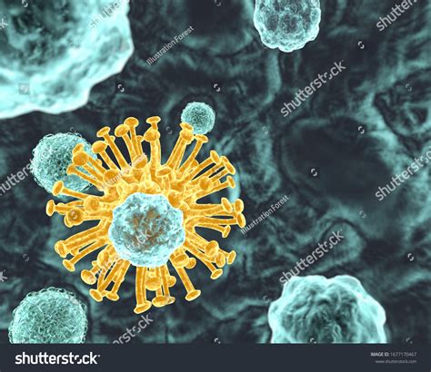 Immune Cells Fighting Viral Infection 3d Stock Illustration 1677170467 Shutterstock