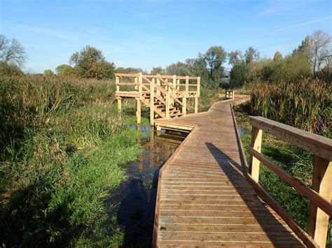 01 Morden Hall Park 250m Oak And Larch Boardwalk Nature Walk With