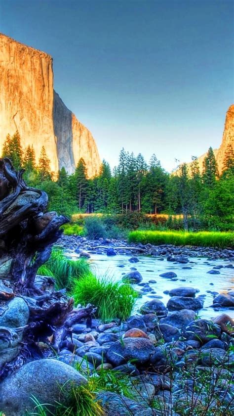 Free Download Download Most Beautiful Yosemite National Park 1920x1180