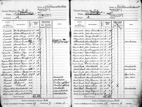 Fileaustralia New South Wales 1891 Census Records Dgs007567900