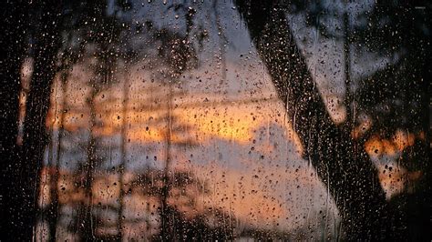 Rain Drops On Window Wallpaper Photography Wallpapers 38154