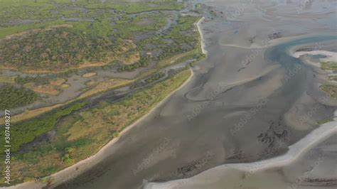 Senegal Mangroves Aerial View Of Mangrove Forest In The Saloum Delta