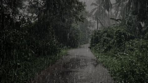 Heavy Rainstorm And Roaring Thunder In Dark Forest Heavy Rain At Night