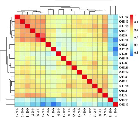 A Heat Map With Hierarchical Clustering Showing The Manhattan Plot Peak