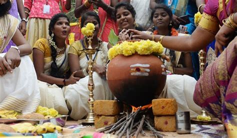 Pongolo Pongal Fills The Air As Tamil Nadu Celebrates The Harvest