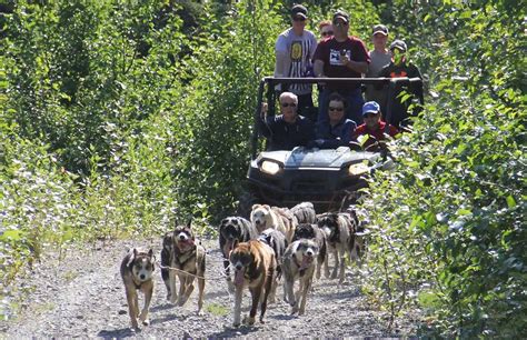 Alaskan Tour Guides Book An Alaska Land Tour Package Today