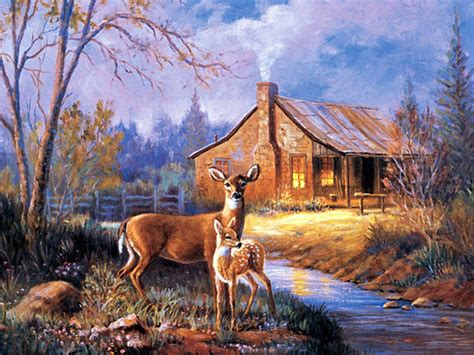 Free Whitetail Deer Backgrounds Deer Wallpapersdeer Wallpaper