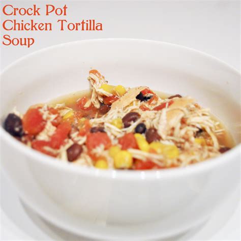 The others items on list are for garnish after this bad boy is cooked. How to make Crock Pot Chicken Tortilla Soup - The Love Nerds