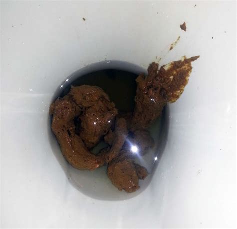 Johannas Pooping Blog The Toilet Poop