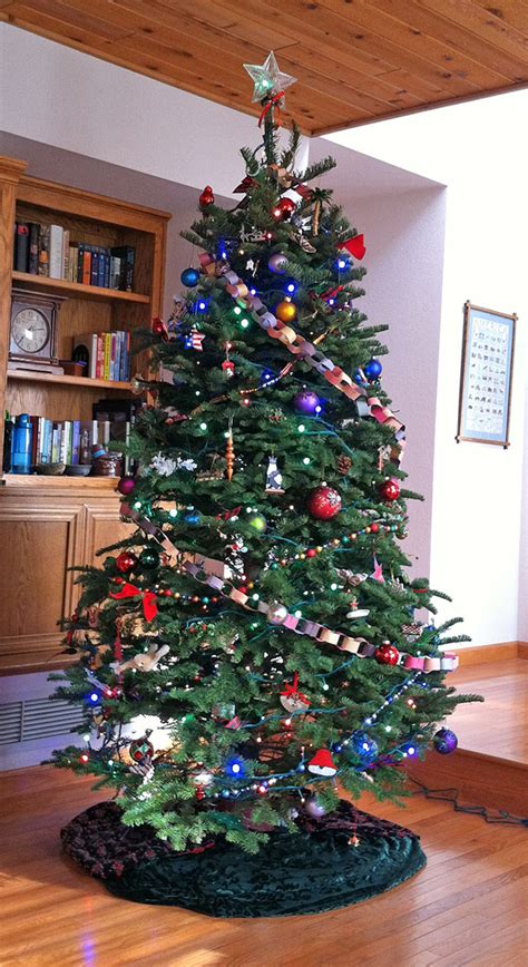 Decorated Real Christmas Tree December 2017 Green Groundswell