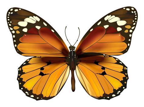 Yellow Butterfly Clip Art Transparent