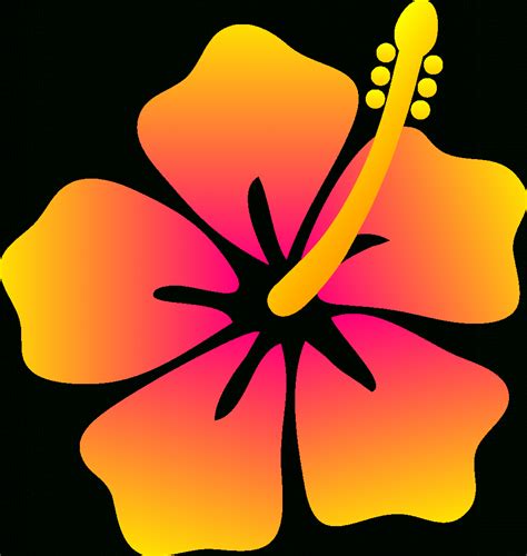 Hawaiian Flowers Drawing At Getdrawings Free Download