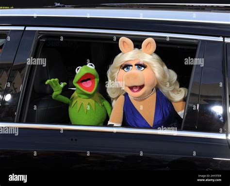 Kermit The Frog And Miss Piggy The Muppets Attending The Muppets Most