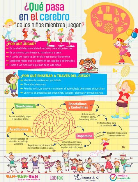 Cerebro El cerebro del niño Educacion emocional Educacion infantil