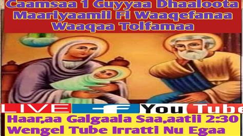 Caamsaa 1 Guyyaa Dhaalota Maariyamii Fi Waaqa Tolfama Youtube